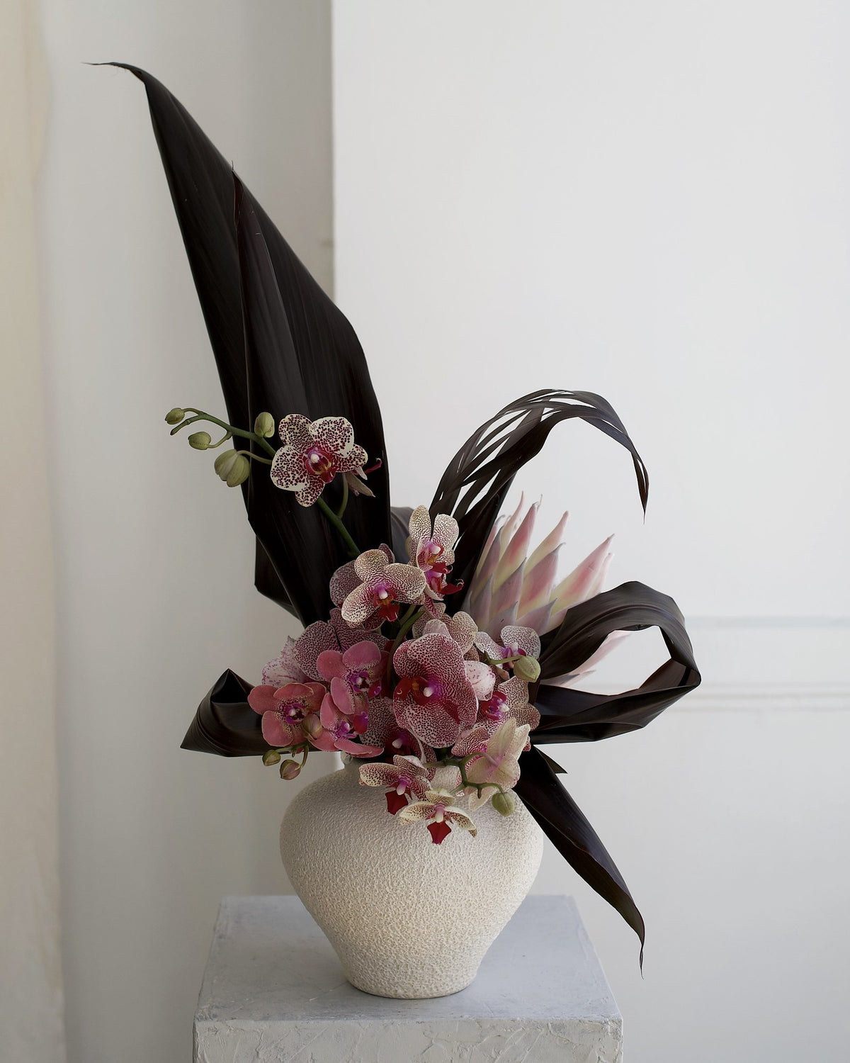 Custom designer arrangement, florist's choice with spotted phalaenopsis orchids, king protea and dark cordyline leaves in a textured white vase, Adore Flowers Los Angeles