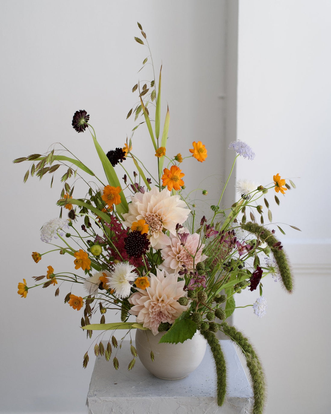Late-summer seasonal arrangement of café au lait dahlias, cosmos, scabiosa and trailing amaranthus in a cream ceramic vase, Adore Flowers, Los Angeles