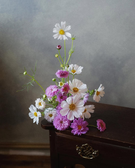 Cosmos arrangement from local blooms, Adore Flowers Los Angeles